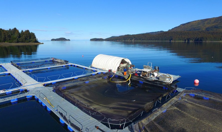 Global Aquaculture Water Treatment Systems Market Is Estimated To Witness High Growth Owing To Increasing Focus on Sustainable Aquaculture Practices