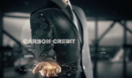 Carbon Credit Market