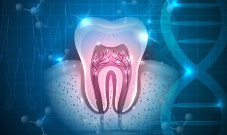 Tooth Regeneration Market