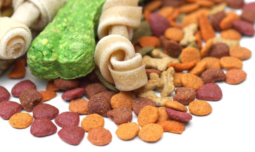 Global Animal Nutrition Market Is Estimated To Witness High Growth Owing To Increased Demand for Healthier Animal Feed & Growing Focus on Animal Welfare