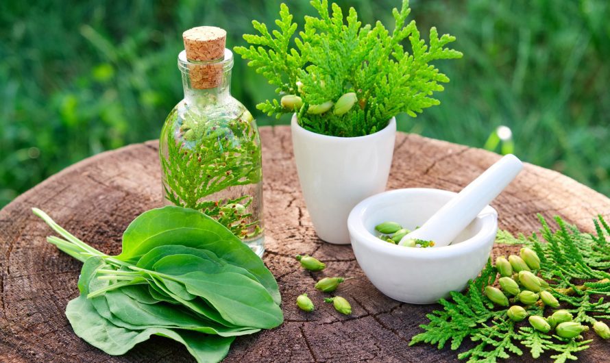 Herbal Medicinal Products Have Lesser Side Effects than Normal Medicines and Drugs