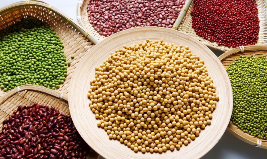 Biological Seed Treatment Market: Growing Demand for Sustainable Agriculture to Drive Market Growth