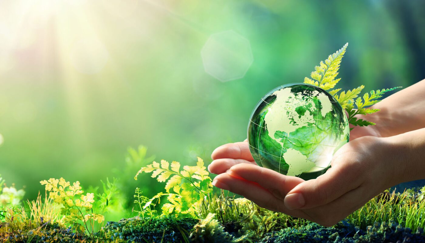 Green Technology And Sustainability Market