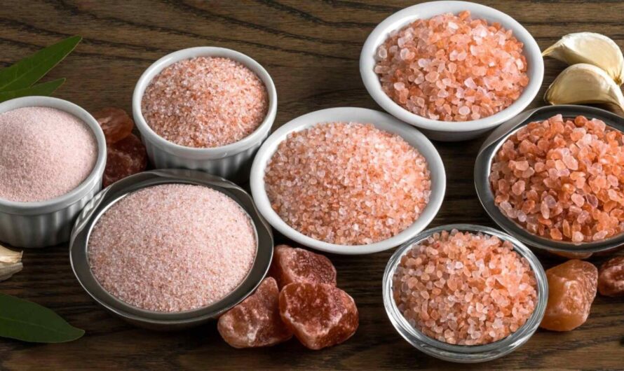 Salt Substitutes Market: Growing Demand for Low-Sodium Alternatives Drives Market Growth