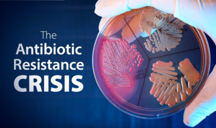 Antibiotic Resistance Crisis