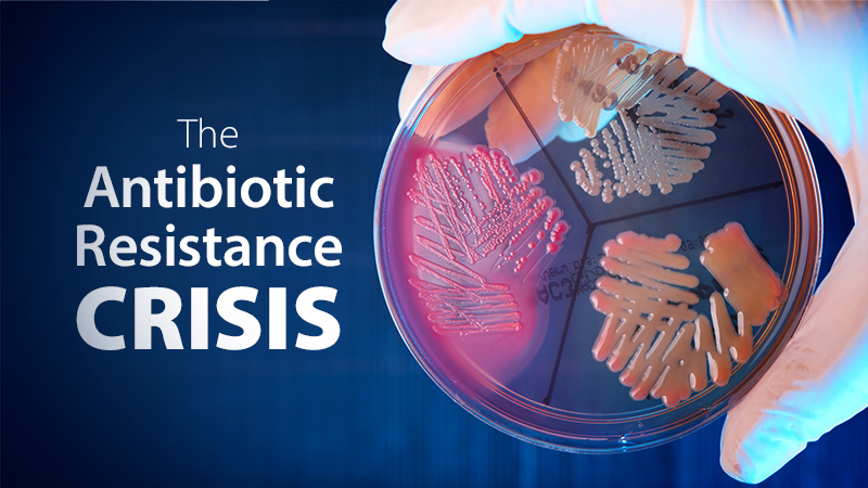 UVA Researchers Combat Antibiotic Resistance Crisis with $1.2 Million Grant