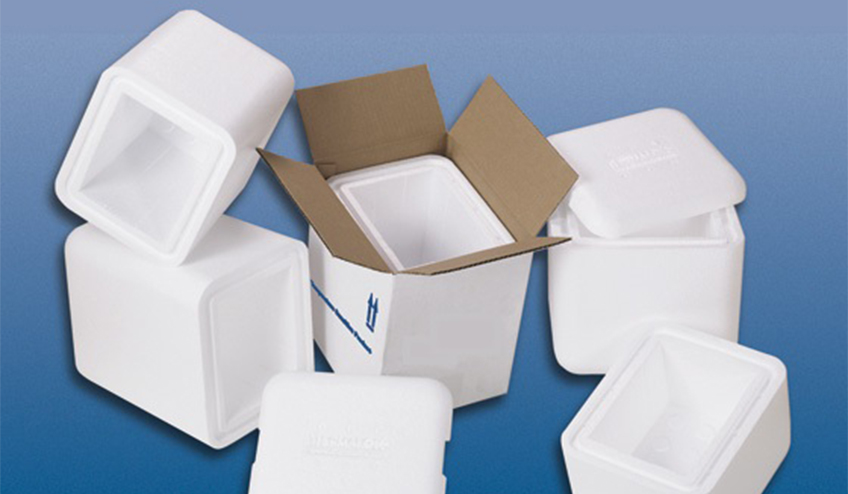 Cold Chain Packaging Market: Growing Demand for Temperature-controlled Packaging Solutions