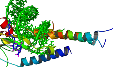 GLP-1 receptor