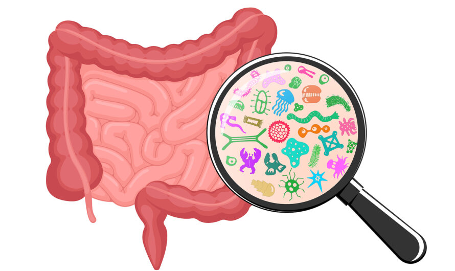 New Study Reveals Link Between PTSD, Diet, and Gut Microbiome