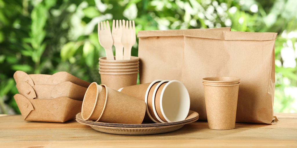 Biodegradable Packaging Market Size