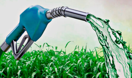 Biofuels Market