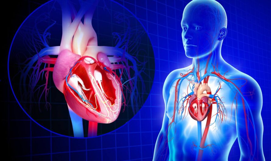 New Discovery: Potential Pathway to Fight Against Cardiovascular Disease Uncovered