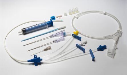 Central Venous Catheter Market