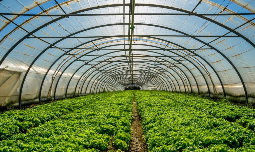 Commercial Greenhouse Market is Estimated To Witness High Growth Owing To Trends in Automation