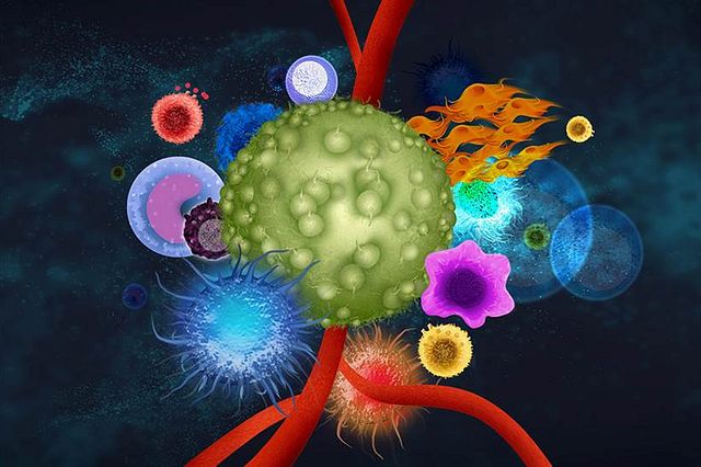 Immuno-Oncology Assays Are Fastest Growing Segment Fueling The Growth Of Immuno-Oncology Market