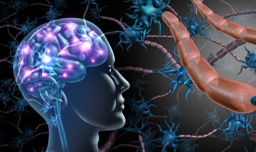 New Study Sheds Light on the Progression of Neurodegenerative Disorders