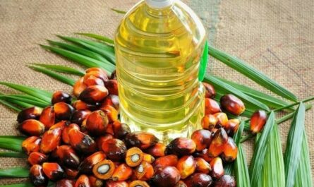 Soy Oil And Palm Oil Market