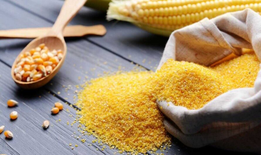 The growing demand for organic products to boost the growth of Corn Grit Market