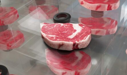 3D Printed Meat Market