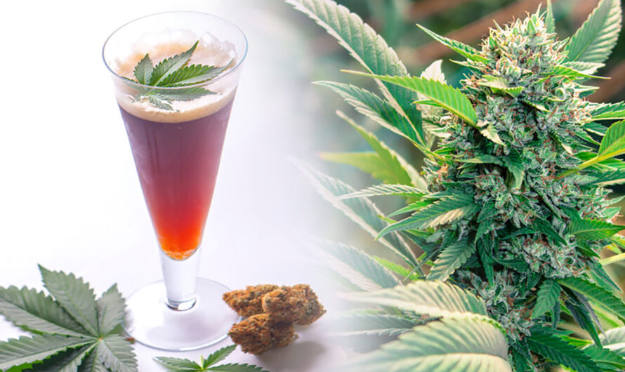 The global Cannabis Beverage Market is estimated to Propelled by the Increasing Legalization of Cannabis