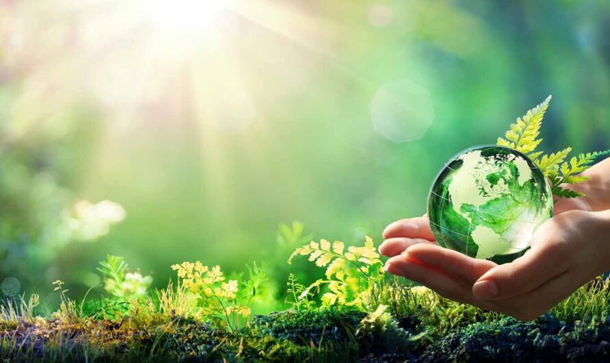 Green Technology And Sustainability Market is Expected to be Flourished by Growing Investment in Renewable Energy Sources