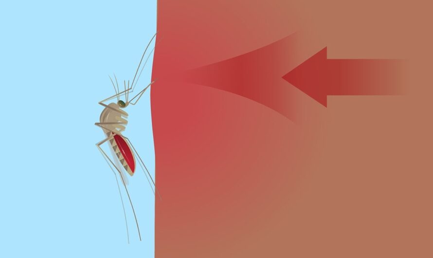 The Mosquito Borne Disease Market Is Expected To Be Flourished By The Rising Prevalence Of Diseases