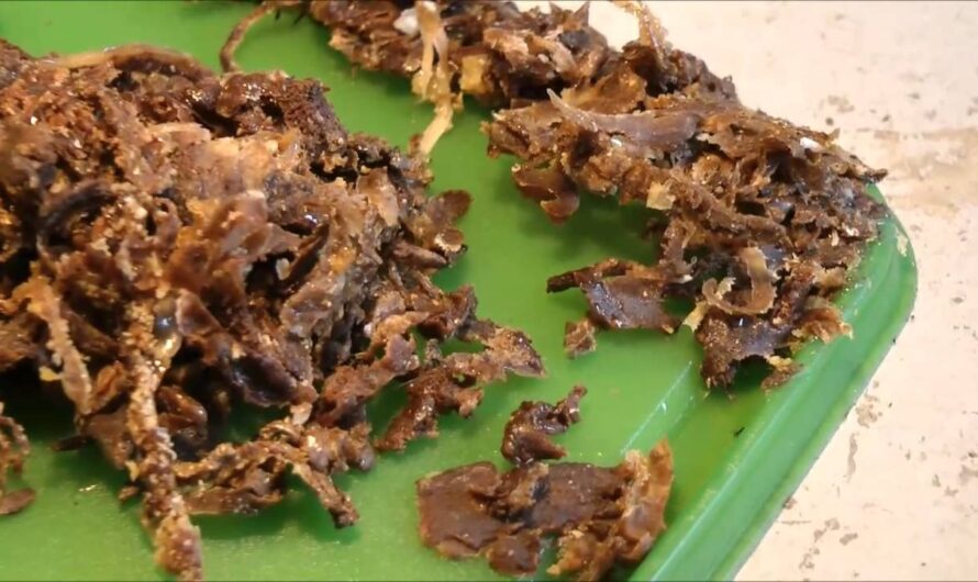 Propolis Market is Expected to be Flourished by Rising Awareness About Its Benefits