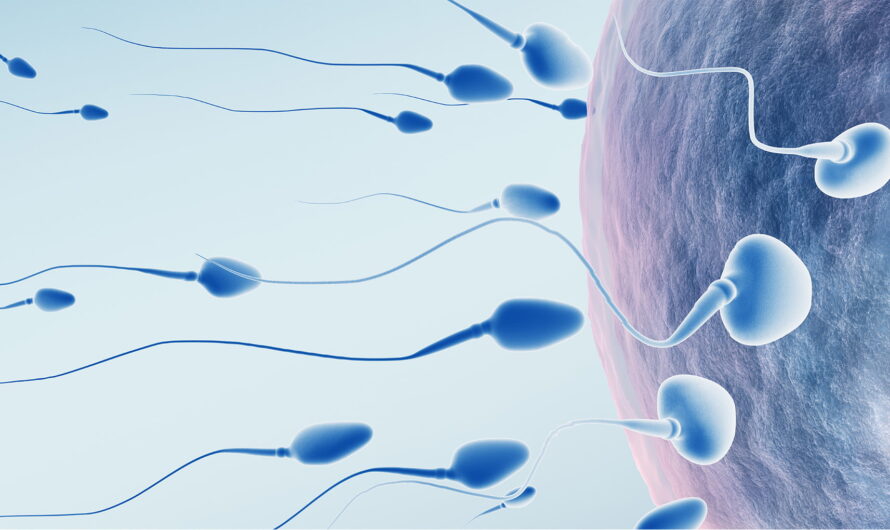 Projected growing adoption to boost the growth of Sperm Count Test Market