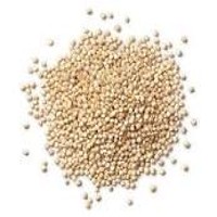 Global Quinoa Grain Market Poised for Strong Growth by 2030