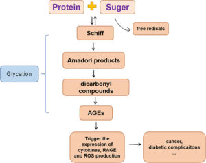 Advanced Glycation End Products Market