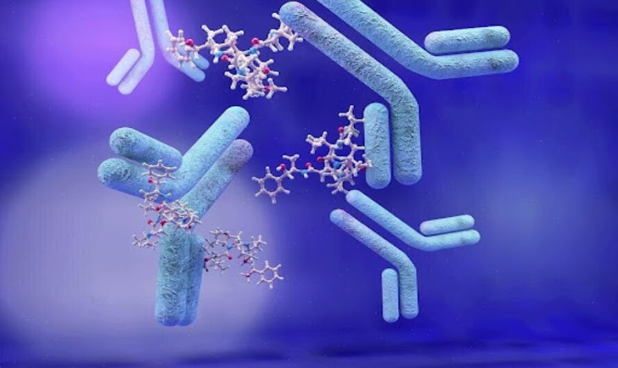 The Antibodies Market is Expected to be Flourished by Rising Demand in Targeted Therapy and Diagnostic Applications