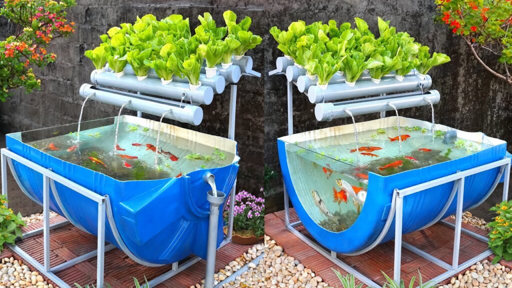 Aquaponics Market Propelled By Increased Sustainable Food Production