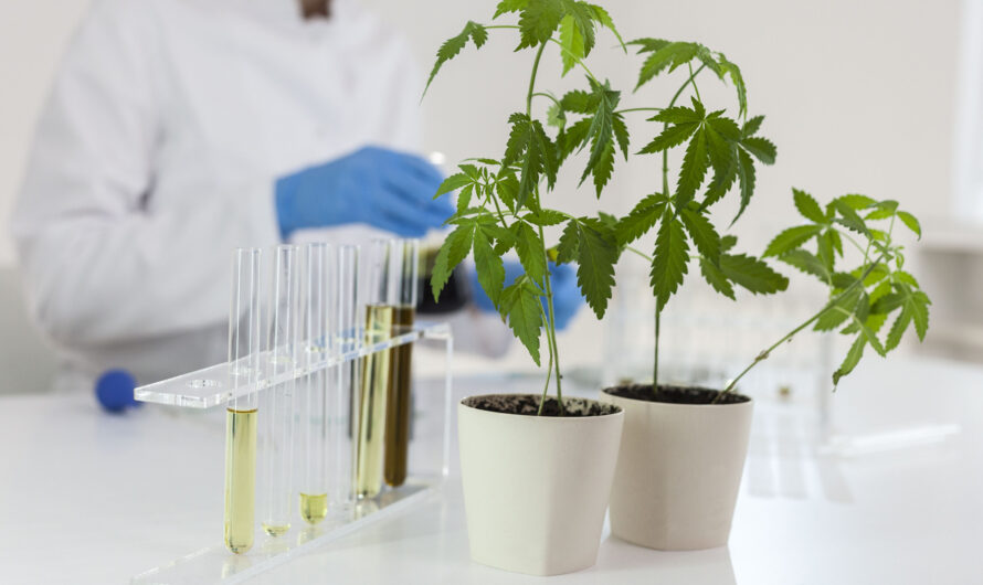 Cannabis Testing Market Witness High Growth Due to Rapid Legalization of Cannabis and Increasing Demand of Consumers