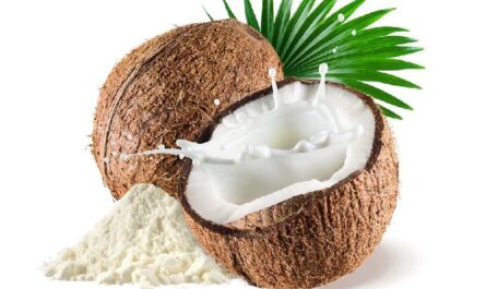 Coconut Milk Powder Market
