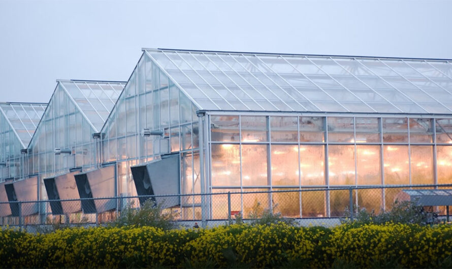 Commercial Greenhouse Market Is Driven By Growing Demand For Controlled Environment Agriculture