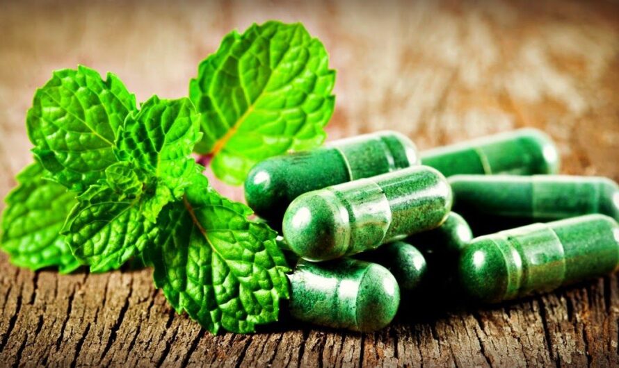 Germany Nutritional Supplements Market driven by growing awareness towards preventive healthcare
