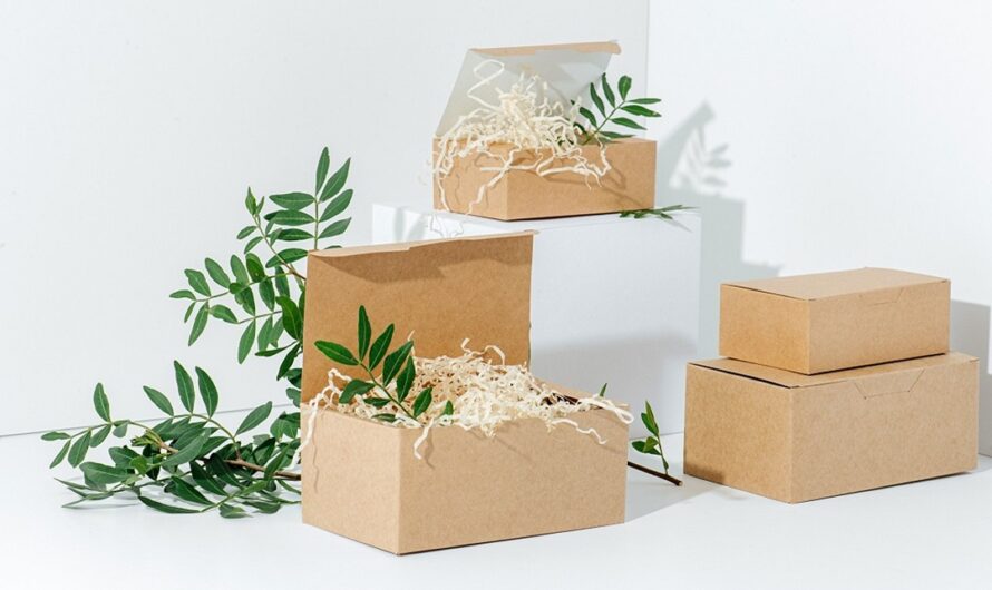 Green Packaging Market is Expected to be Flourished by Increasing Demand for Sustainable Packaging Solutions
