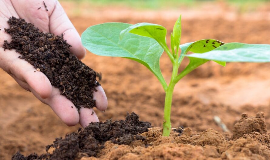 The Global Humic Acid Market Is Driven By Increasing Usage In Agriculture