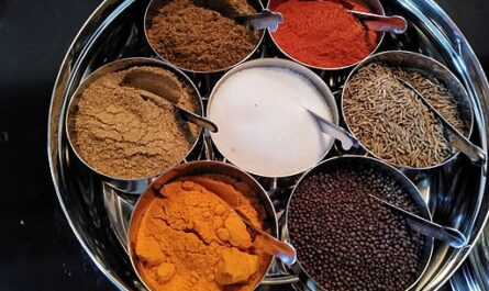 Indian Ready To Mix Food Market