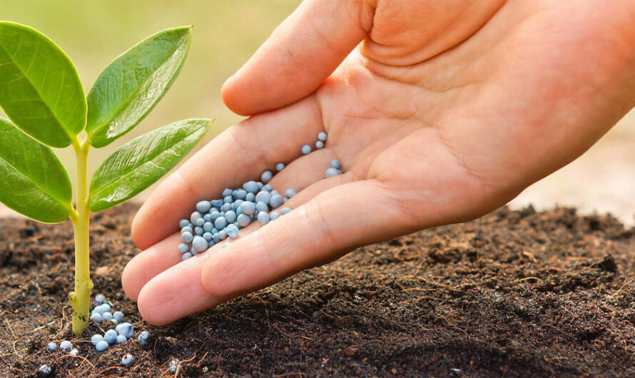 Micronutrients Fertilizers Market is expected to driven by Increase in Crop Yield Requirements