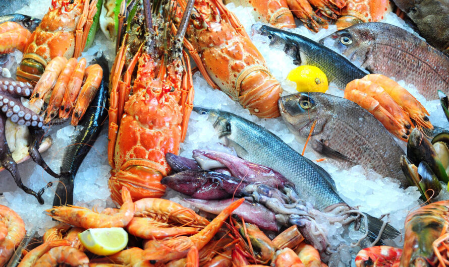 The Seafood Broth Market Is Driven By Growing Consumer Preference For Healthy Food