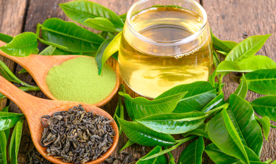 Tea Extracts Market Growth Is Projected To Driven By Increasing Adoption Of Healthy Lifestyle