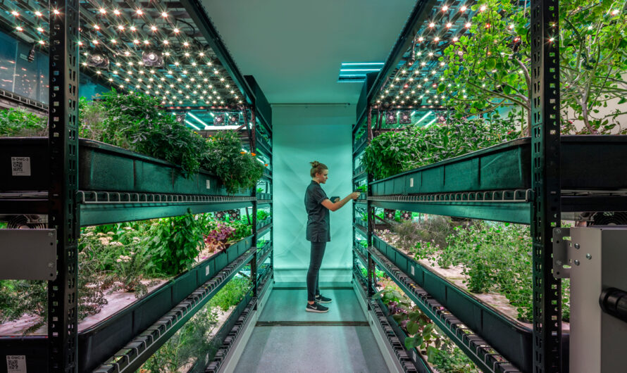 Vertical Farming Market is Expected to be Flourished by Growing Demand for Locally Produced Food