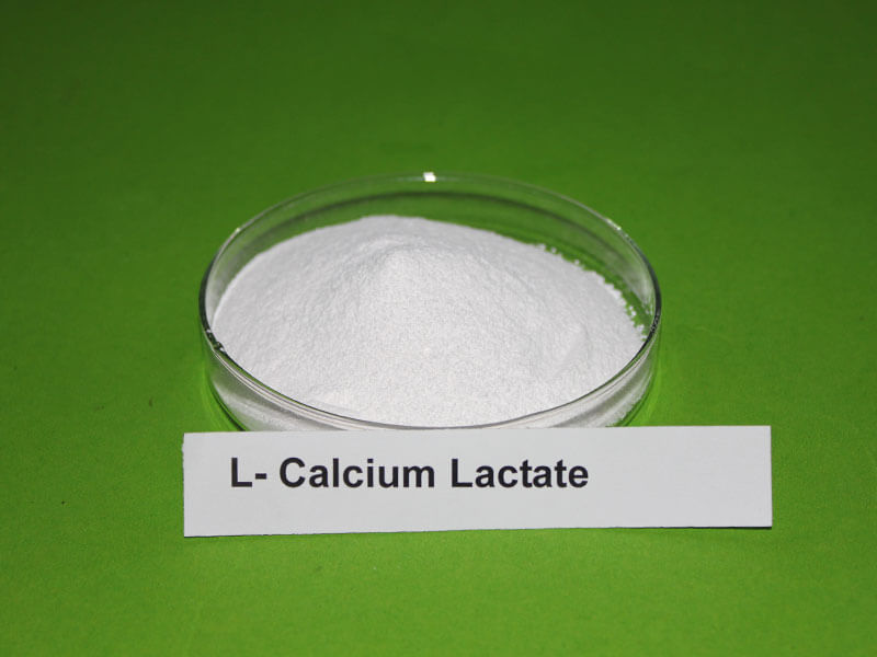 Calcium Lactate Market