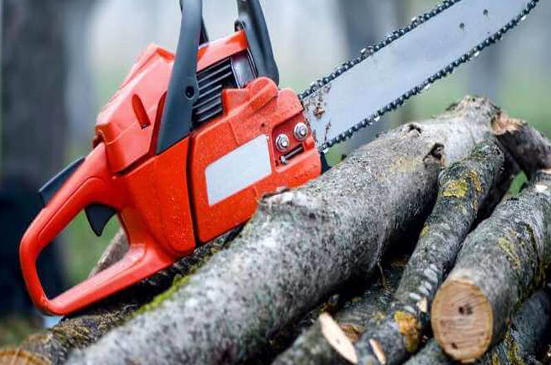 Chainsaw Market Adopting Energy-efficient Technology Trends to Gain Market Share