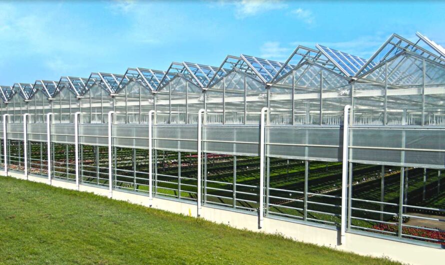 Understanding Commercial Greenhouses