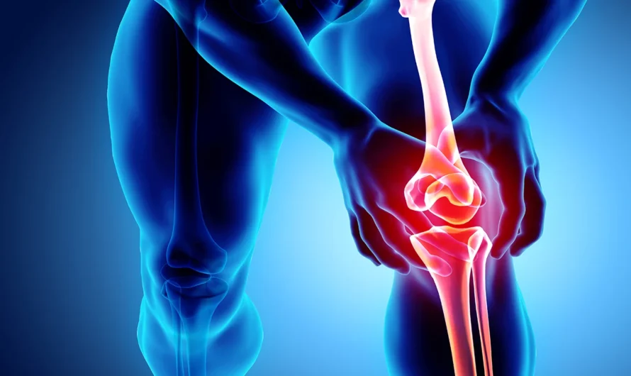 Engineered Cartilage Holds Promise for Osteoarthritis Patients