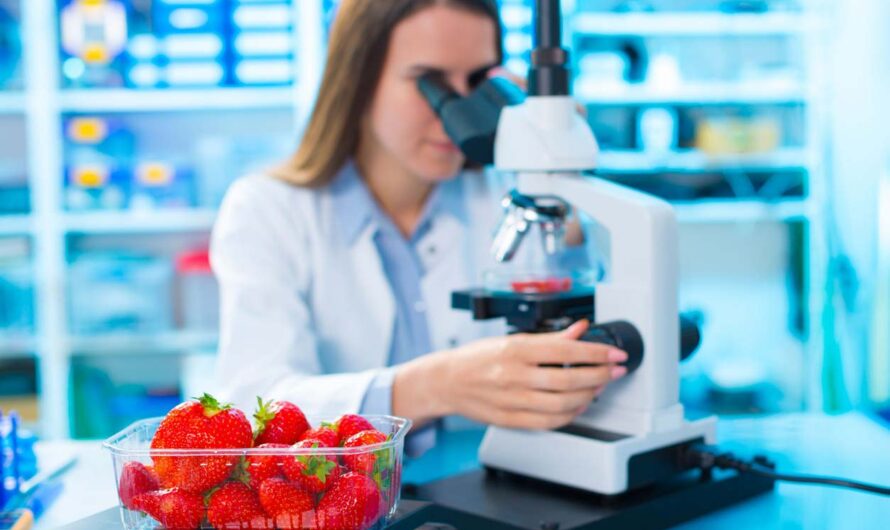 Guarding the Table: Exploring Food Safety Products and Testing Solutions