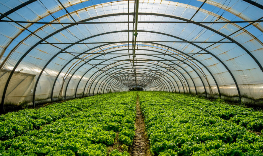 The Greenhouse Produce Market Is Poised For Trends In Automation By Smart Farming Techniques