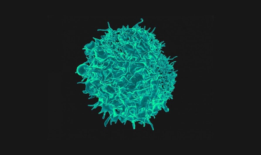 Immune Cell Engineering: A Promising Field of Medicine